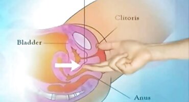 loira amarrada recebe um orgasmo poderoso vídeo pornô da mulher do belo